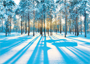 025 035 sunshine through snow