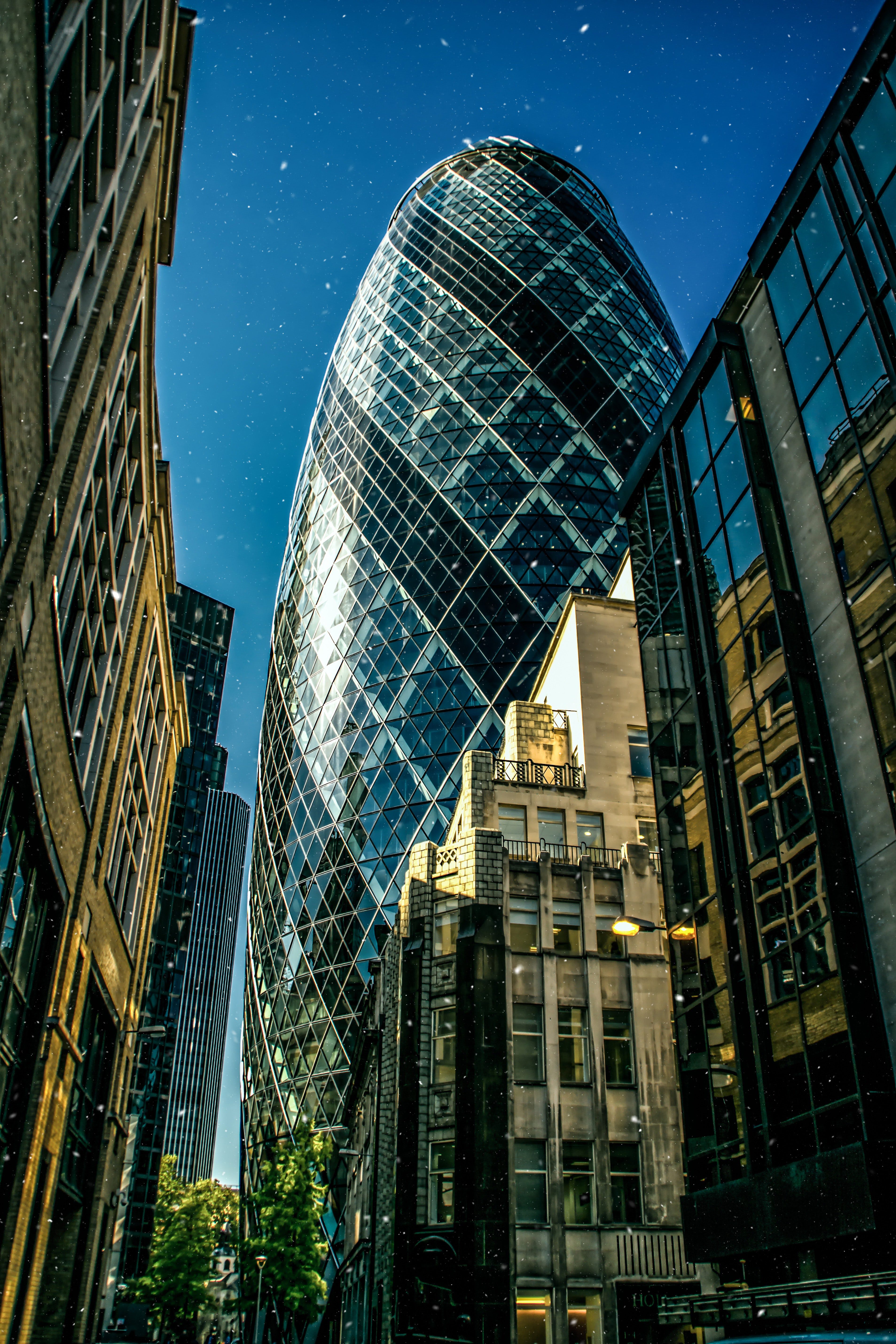 gherkin