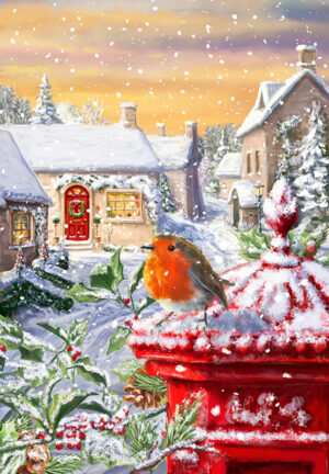 robin on postbox