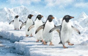 Follow the Leader