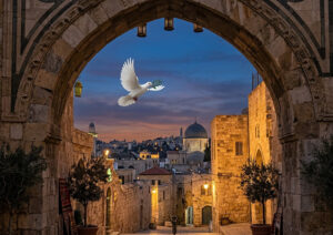 Bringing Peace