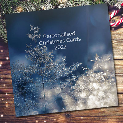 brochure pack