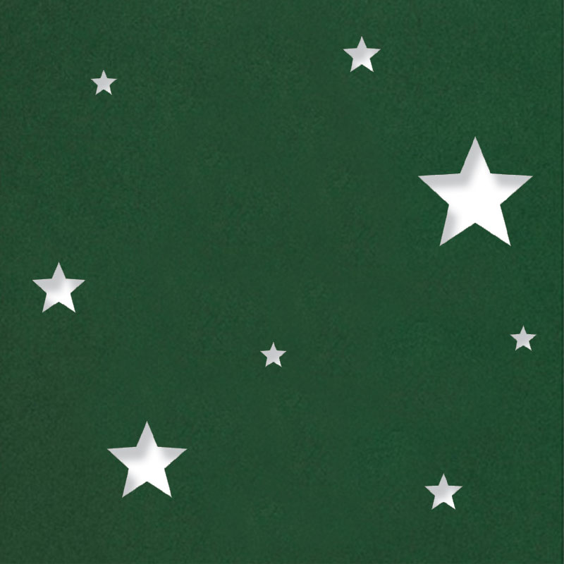 Contemporary Stars - Image 13