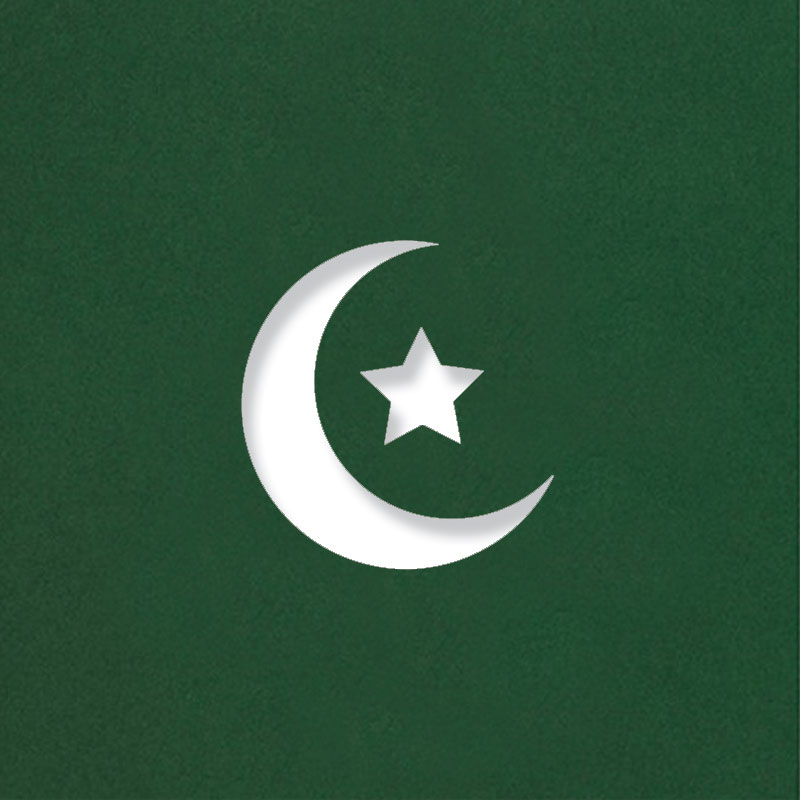 crescent moon cactus green