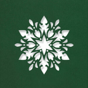 floral snowflake cact