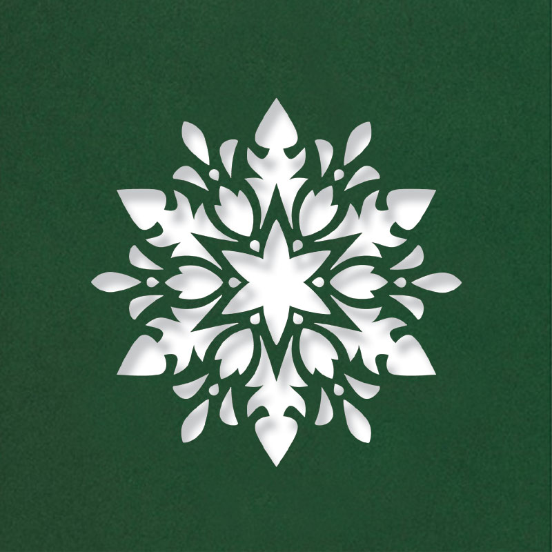 floral snowflake cact