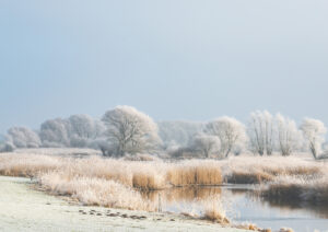 winter landscape in the delta of the river ijssel near kampen, the netherlands.