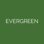 laser cut evergreen