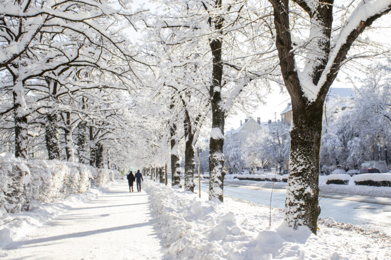 streets of the city of munich in winter, covered with snow, germany