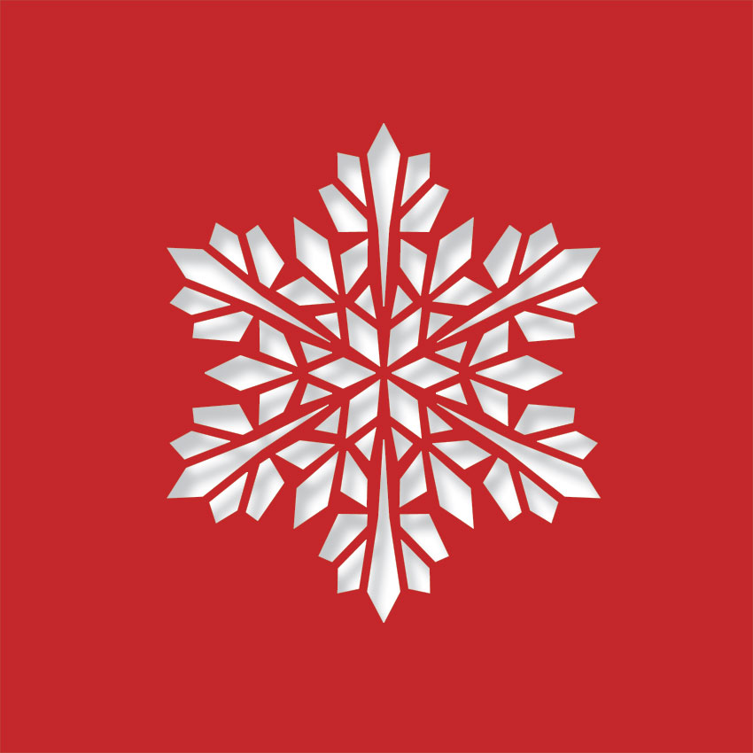Modern Snowflake - Image 10