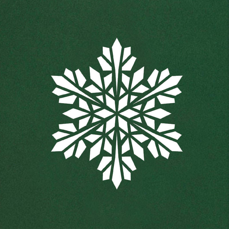 modern snowflake cactus gre