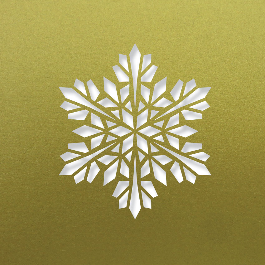 Modern Snowflake