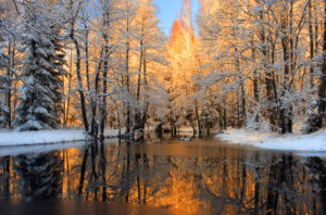 Landscape - Own Photo