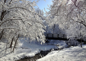 winter wonderland