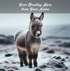 peaceful wander front personalised (copy)
