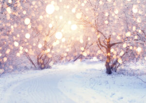 winter holiday illumination