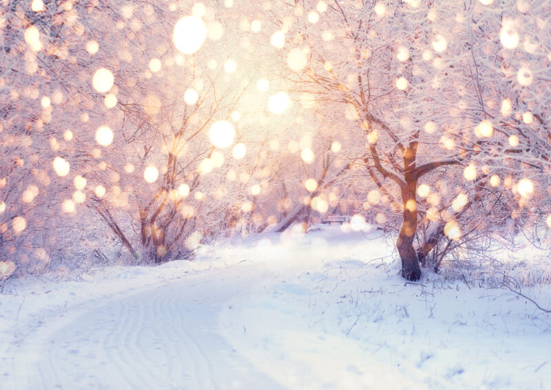 winter holiday illumination
