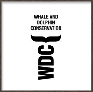 Whale and Dolphin Conservation