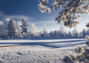 winter landscape