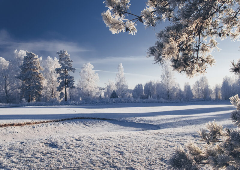 winter landscape